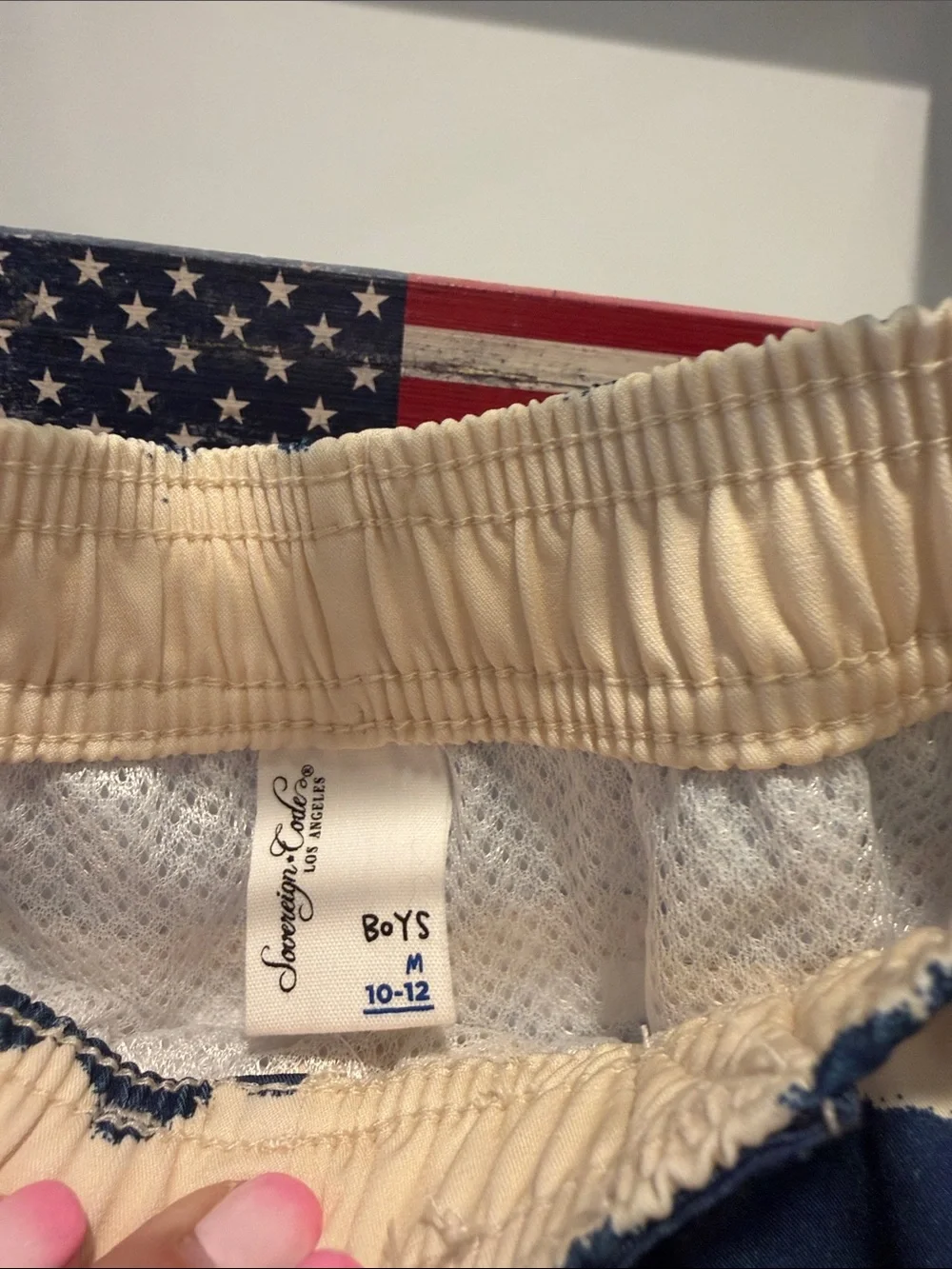Sovereign Code Navy & Cream Stripe Kids Swim Trunks